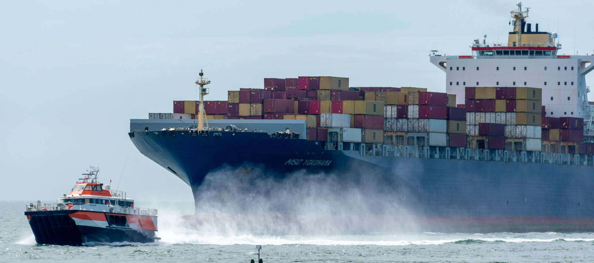  Navigating the Storm: 